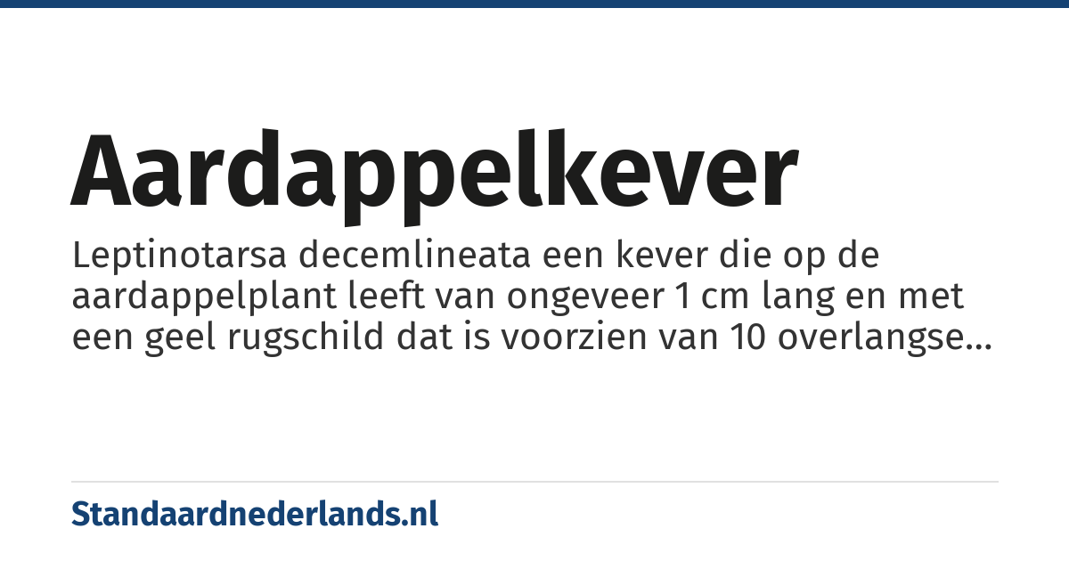 aardappelkever: Leptinotarsa decemlineata een kever die op de aardappelplant leeft van ongeveer 1 cm lang en met een geel rugschild dat is voorzien van 10 overlangse zwarte strepen