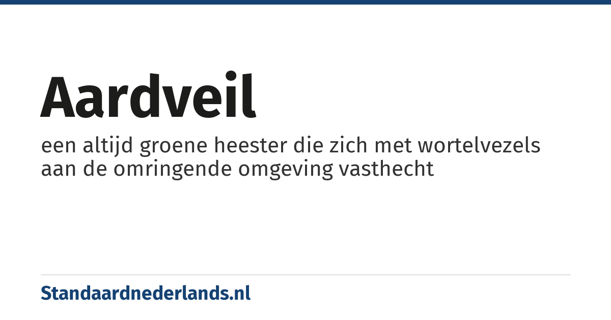 aardveil: een altijd groene heester die zich met wortelvezels aan de omringende omgeving vasthecht