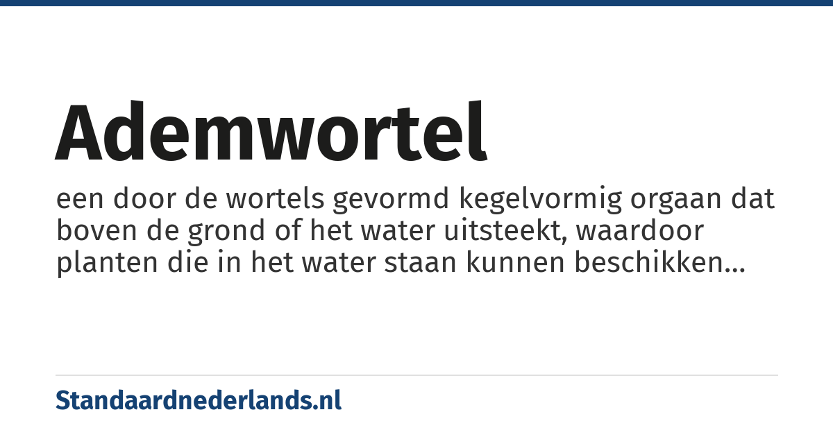 ademwortel: een door de wortels gevormd kegelvormig orgaan dat boven de grond of het water uitsteekt, waardoor planten die in het water staan kunnen beschikken over lucht