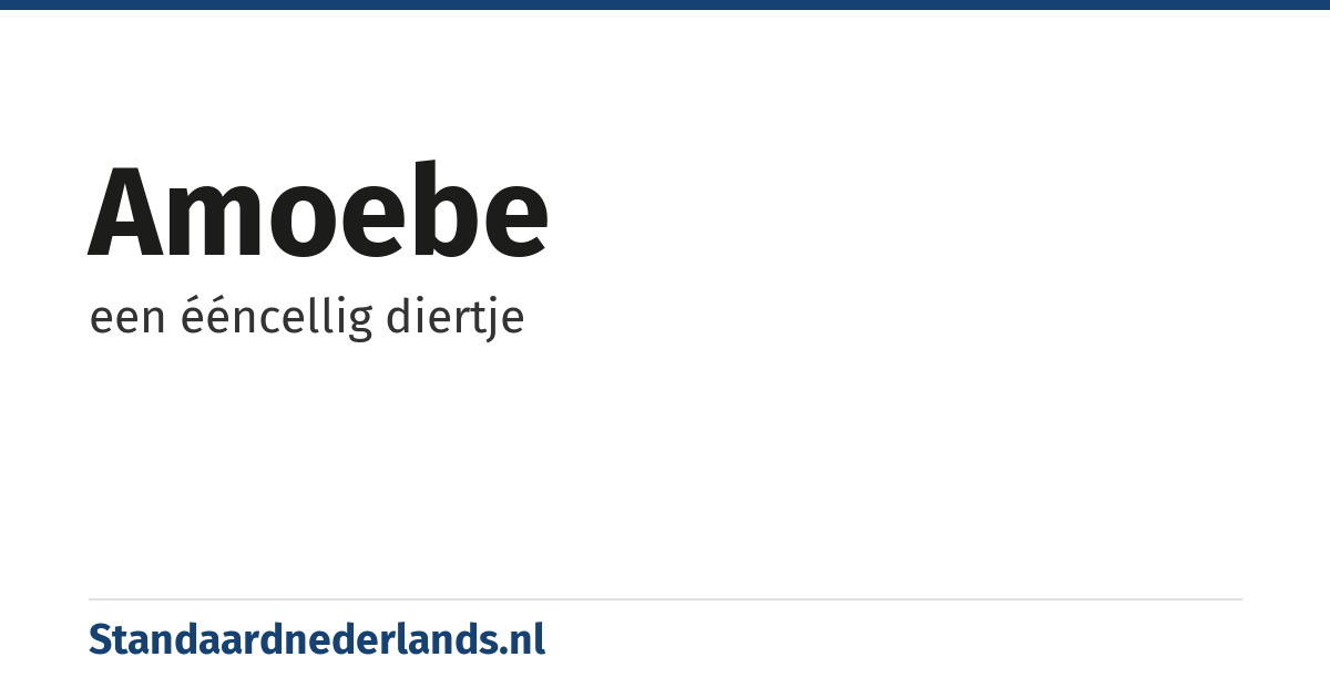 amoebe: een ééncellig diertje