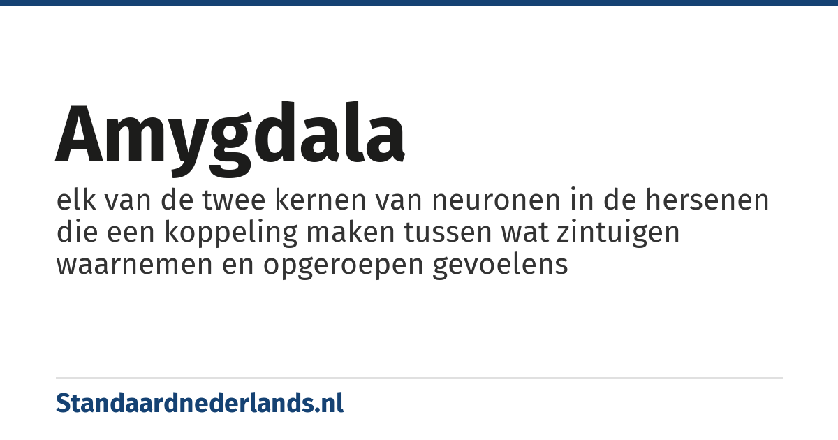 amygdala: elk van de twee kernen van neuronen in de hersenen die een koppeling maken tussen wat zintuigen waarnemen en opgeroepen gevoelens