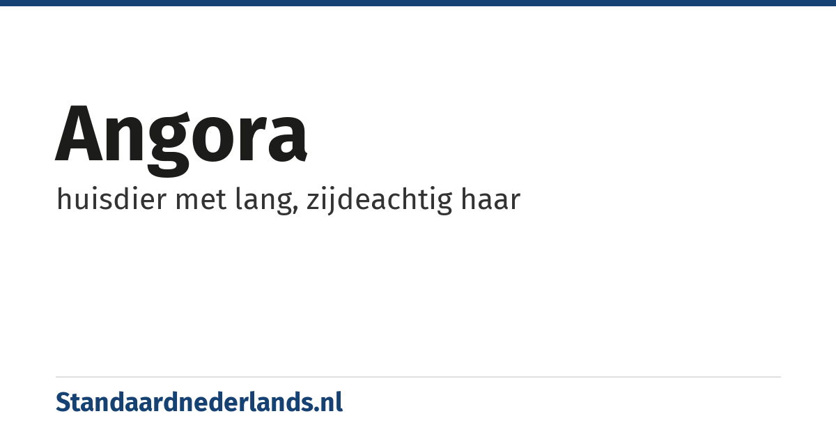 angora: huisdier met lang, zijdeachtig haar