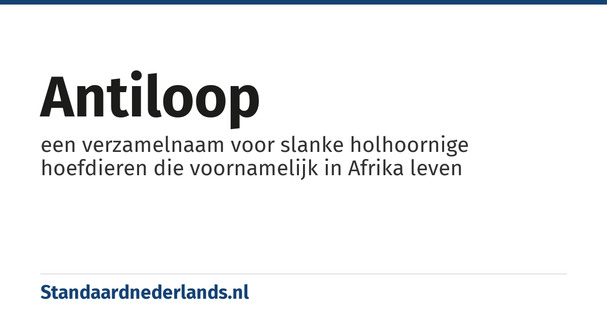 antiloop: een verzamelnaam voor slanke holhoornige hoefdieren die voornamelijk in Afrika leven