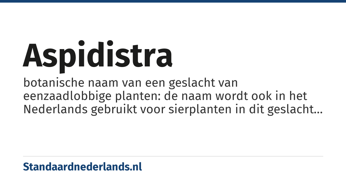 aspidistra: botanische naam van een geslacht van eenzaadlobbige planten: de naam wordt ook in het Nederlands gebruikt voor sierplanten in dit geslacht die als kamerplant gebruikt worden