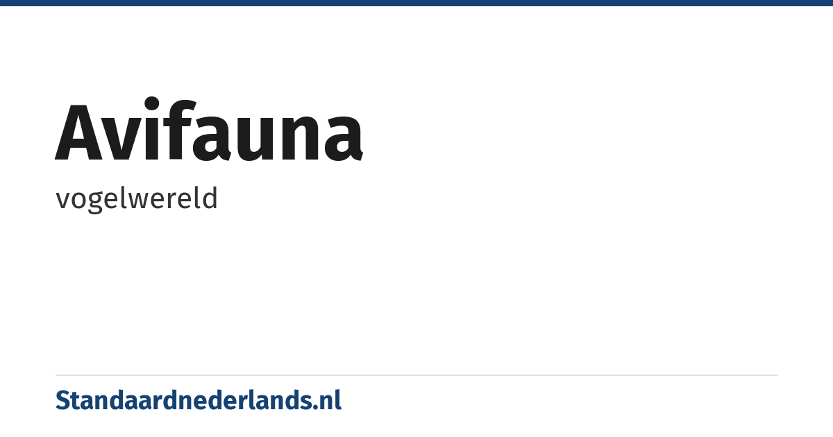 avifauna: vogelwereld
