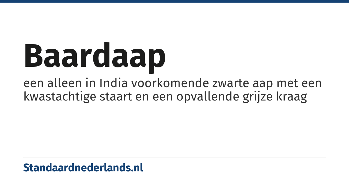 baardaap: een alleen in India voorkomende zwarte aap met een kwastachtige staart en een opvallende grijze kraag