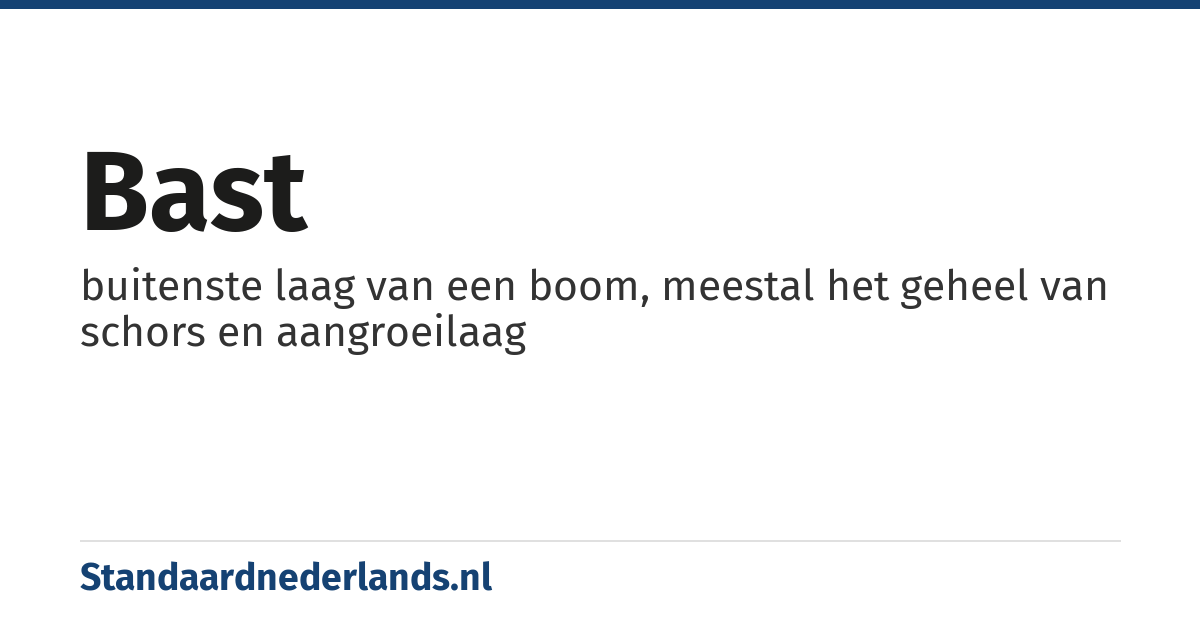 bast: buitenste laag van een boom, meestal het geheel van schors en aangroeilaag