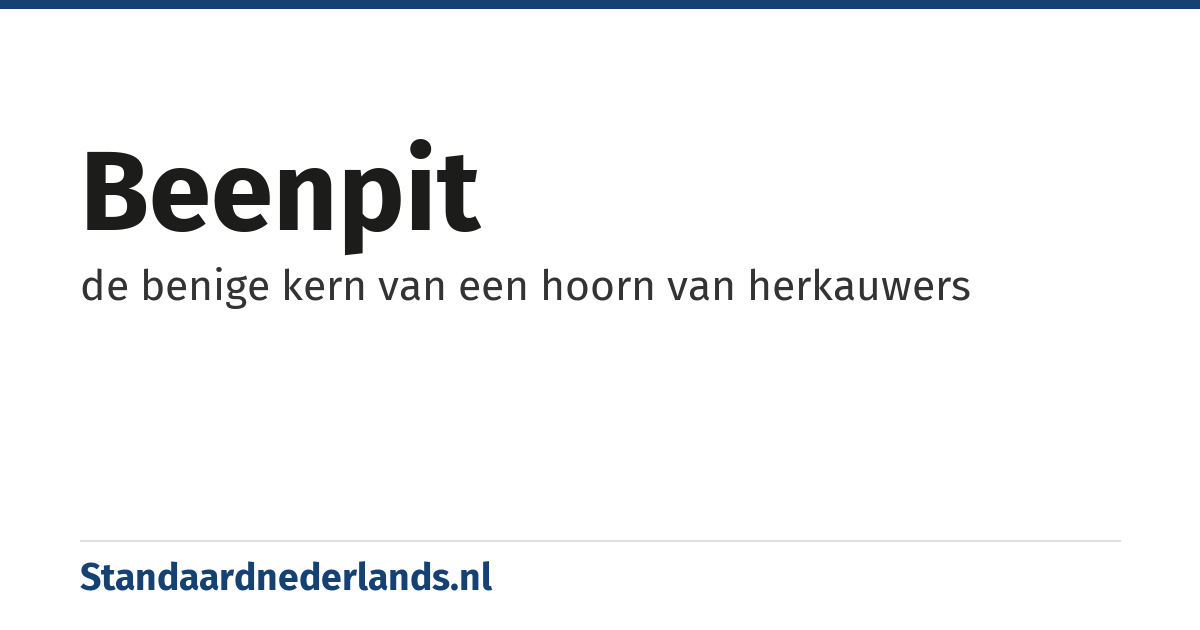 beenpit: de benige kern van een hoorn van herkauwers
