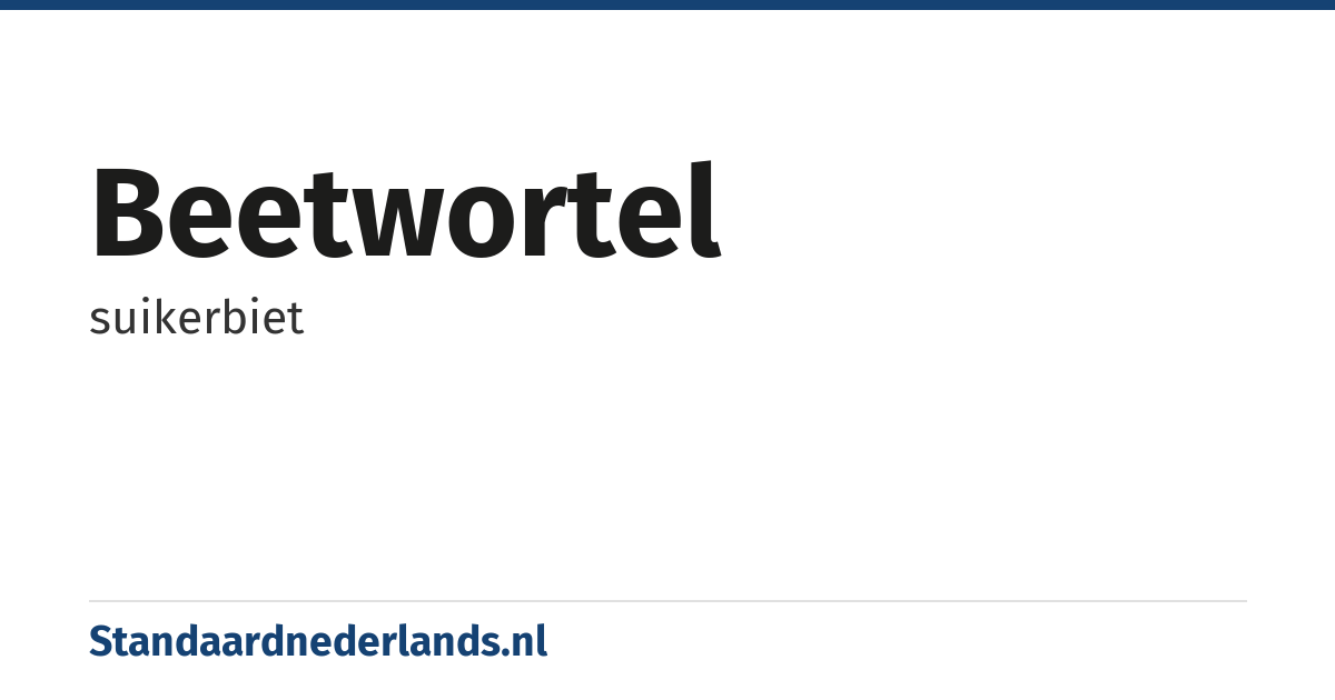 beetwortel: suikerbiet