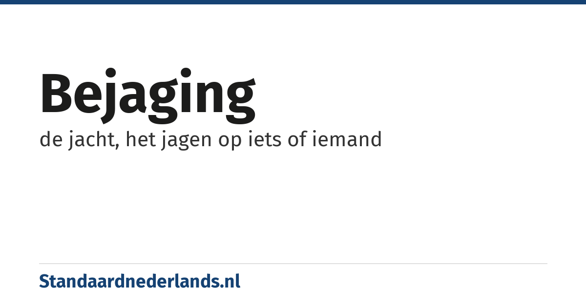 bejaging: de jacht, het jagen op iets of iemand