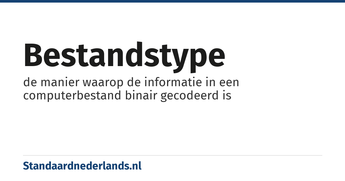 bestandstype: de manier waarop de informatie in een computerbestand binair gecodeerd is