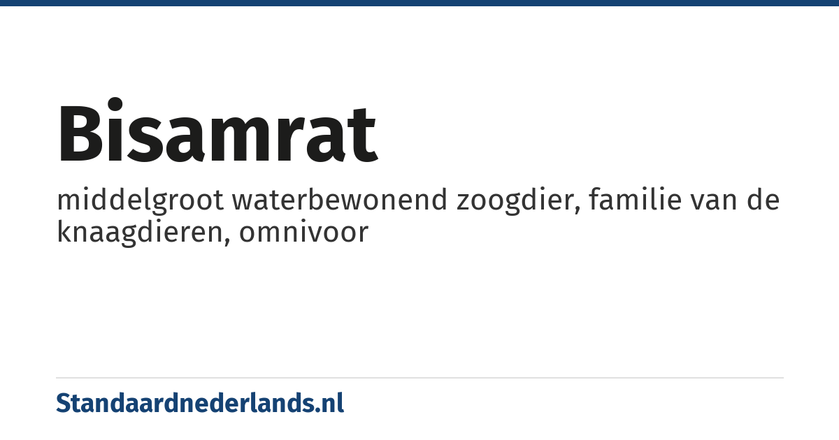 bisamrat: middelgroot waterbewonend zoogdier, familie van de knaagdieren, omnivoor