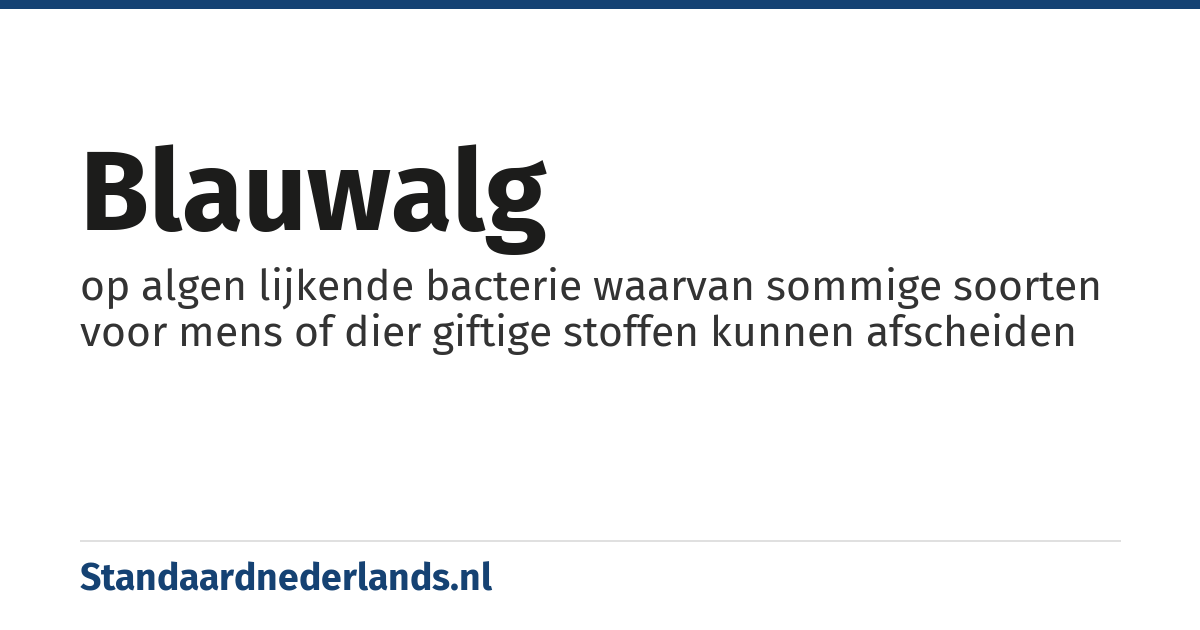 blauwalg: op algen lijkende bacterie waarvan sommige soorten voor mens of dier giftige stoffen kunnen afscheiden