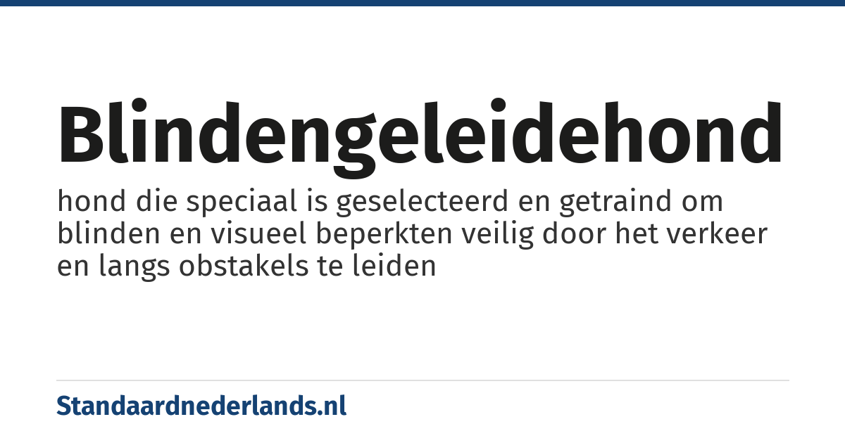 blindengeleidehond: hond die speciaal is geselecteerd en getraind om blinden en visueel beperkten veilig door het verkeer en langs obstakels te leiden
