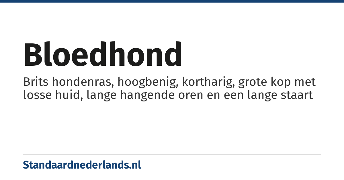 bloedhond: Brits hondenras, hoogbenig, kortharig, grote kop met losse huid, lange hangende oren en een lange staart