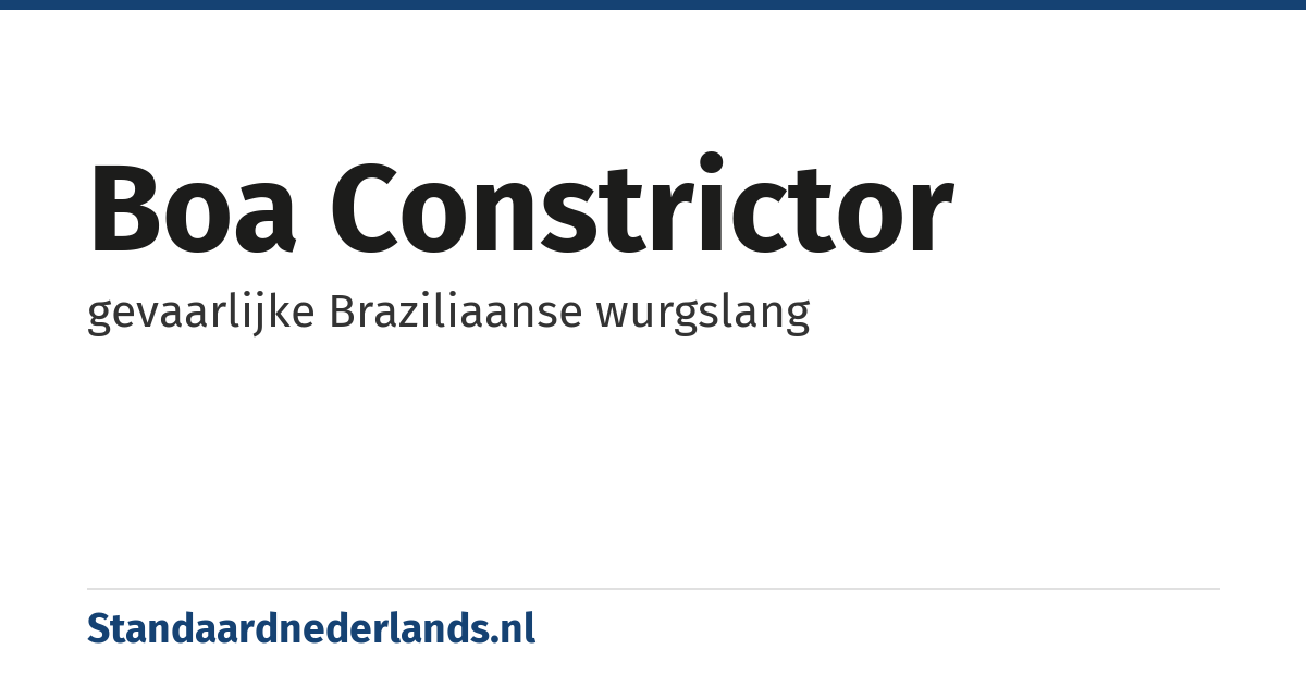 boa constrictor: gevaarlijke Braziliaanse wurgslang