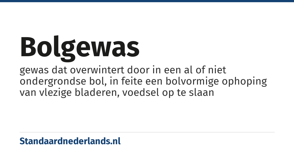 bolgewas: gewas dat overwintert door in een al of niet ondergrondse bol, in feite een bolvormige ophoping van vlezige bladeren, voedsel op te slaan