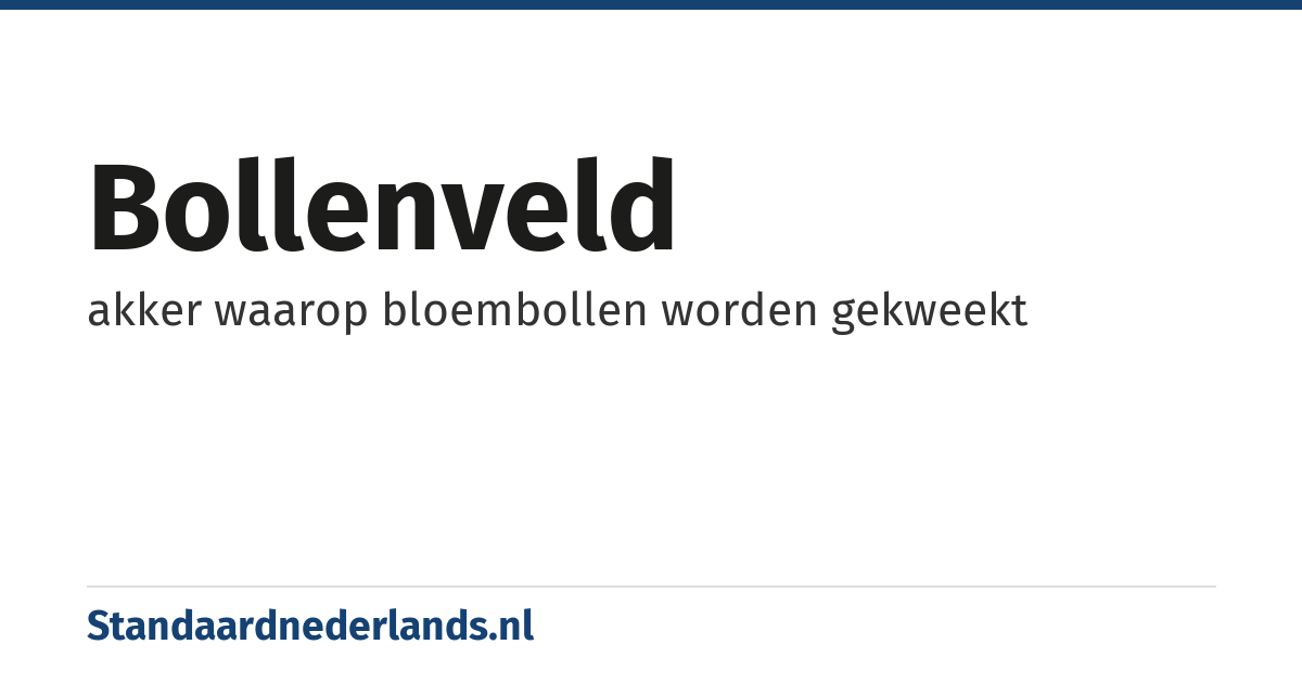 bollenveld: akker waarop bloembollen worden gekweekt