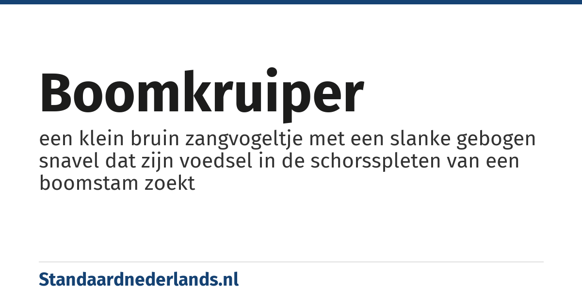 boomkruiper: een klein bruin zangvogeltje met een slanke gebogen snavel dat zijn voedsel in de schorsspleten van een boomstam zoekt