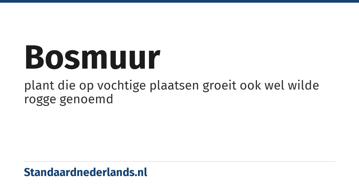 bosmuur: plant die op vochtige plaatsen groeit ook wel wilde rogge genoemd