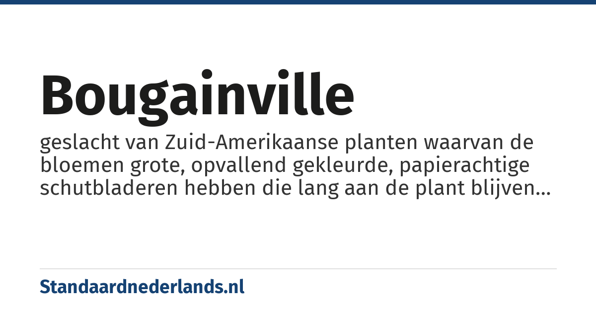 bougainville: geslacht van Zuid-Amerikaanse planten waarvan de bloemen grote, opvallend gekleurde, papierachtige schutbladeren hebben die lang aan de plant blijven zitten