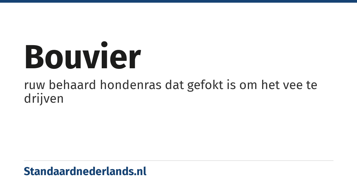 bouvier: ruw behaard hondenras dat gefokt is om het vee te drijven