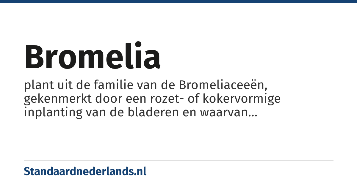 bromelia: plant uit de familie van de Bromeliaceeën, gekenmerkt door een rozet- of kokervormige inplanting van de bladeren en waarvan verscheidene soorten als kamerplant gekweekt worden