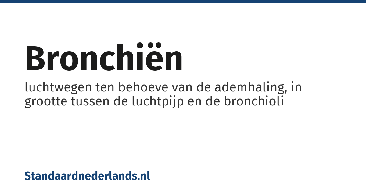bronchiën: luchtwegen ten behoeve van de ademhaling, in grootte tussen de luchtpijp en de bronchioli