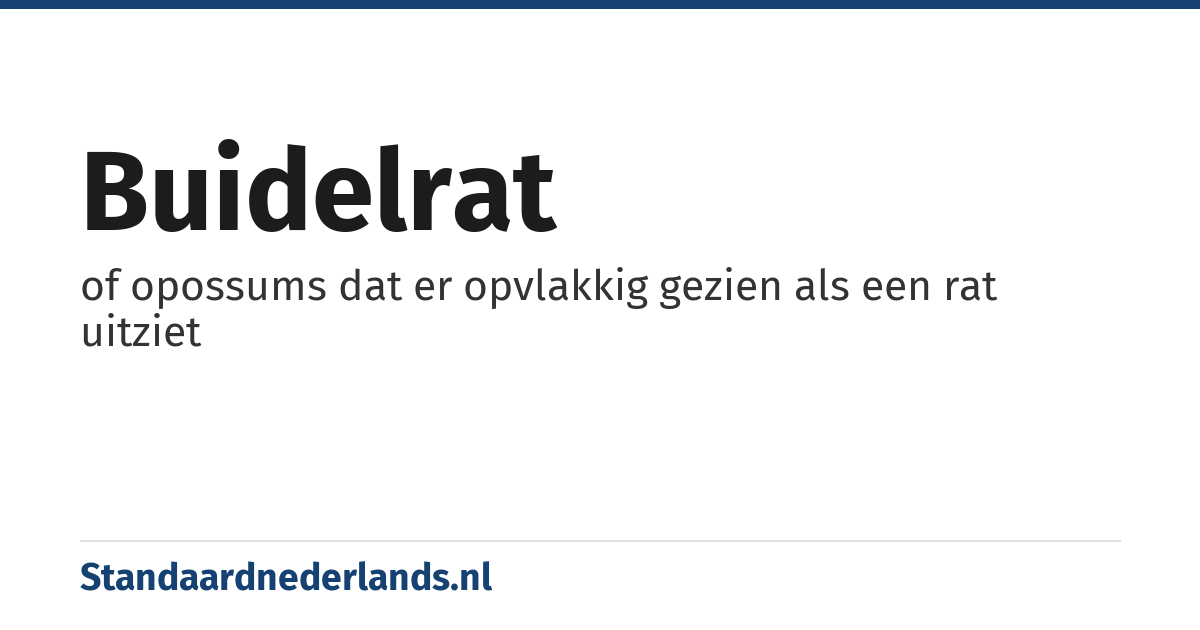 buidelrat: of opossums dat er opvlakkig gezien als een rat uitziet