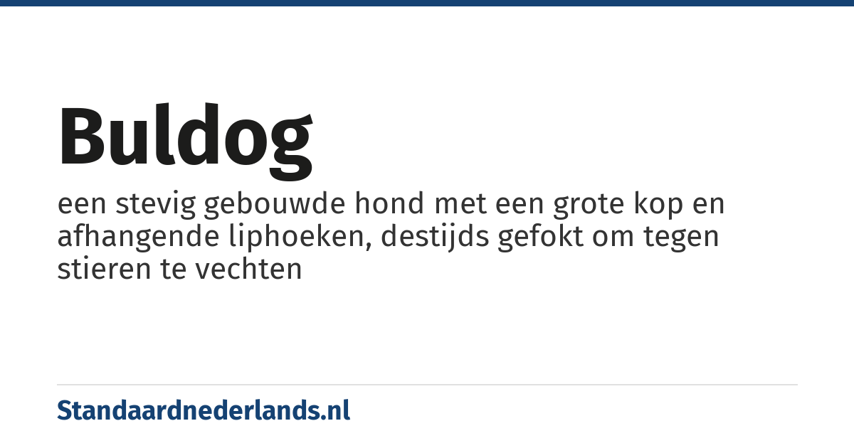 buldog: een stevig gebouwde hond met een grote kop en afhangende liphoeken, destijds gefokt om tegen stieren te vechten
