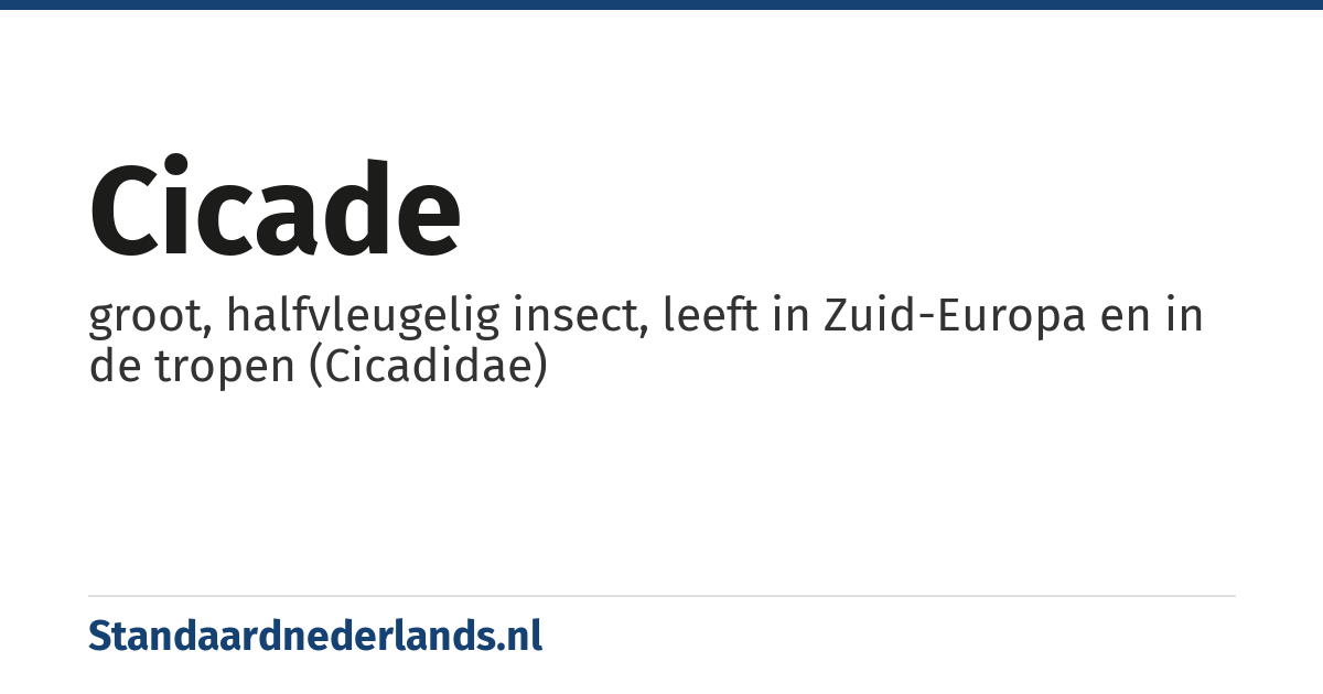 cicade: groot, halfvleugelig insect, leeft in Zuid-Europa en in de tropen (Cicadidae)