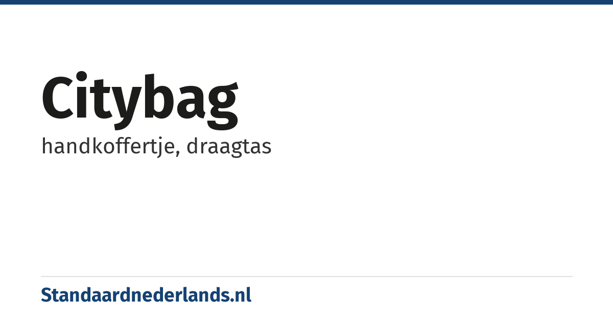 citybag: handkoffertje, draagtas