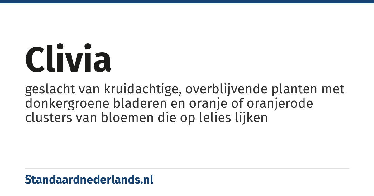 clivia: geslacht van kruidachtige, overblijvende planten met donkergroene bladeren en oranje of oranjerode clusters van bloemen die op lelies lijken