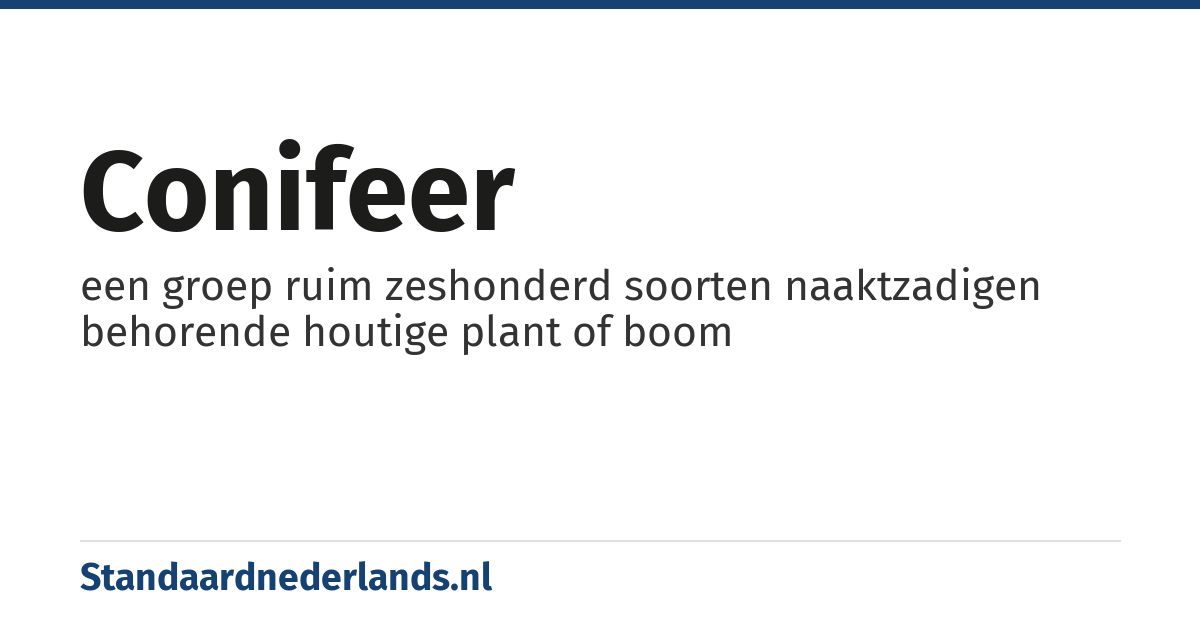 conifeer: een groep ruim zeshonderd soorten naaktzadigen behorende houtige plant of boom