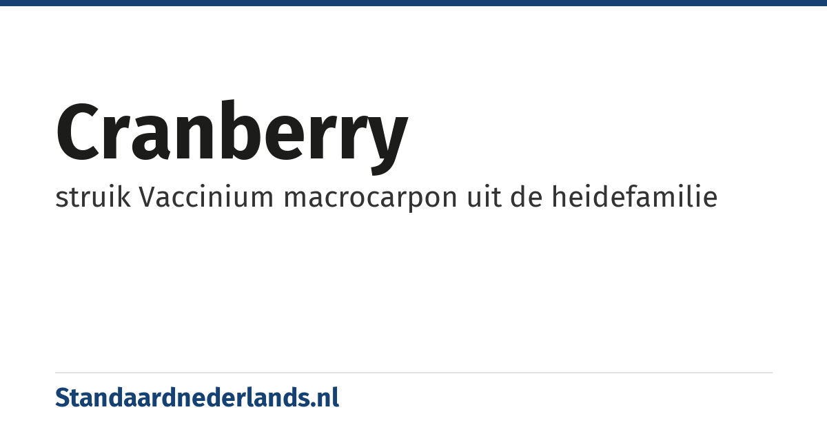 cranberry: struik Vaccinium macrocarpon uit de heidefamilie