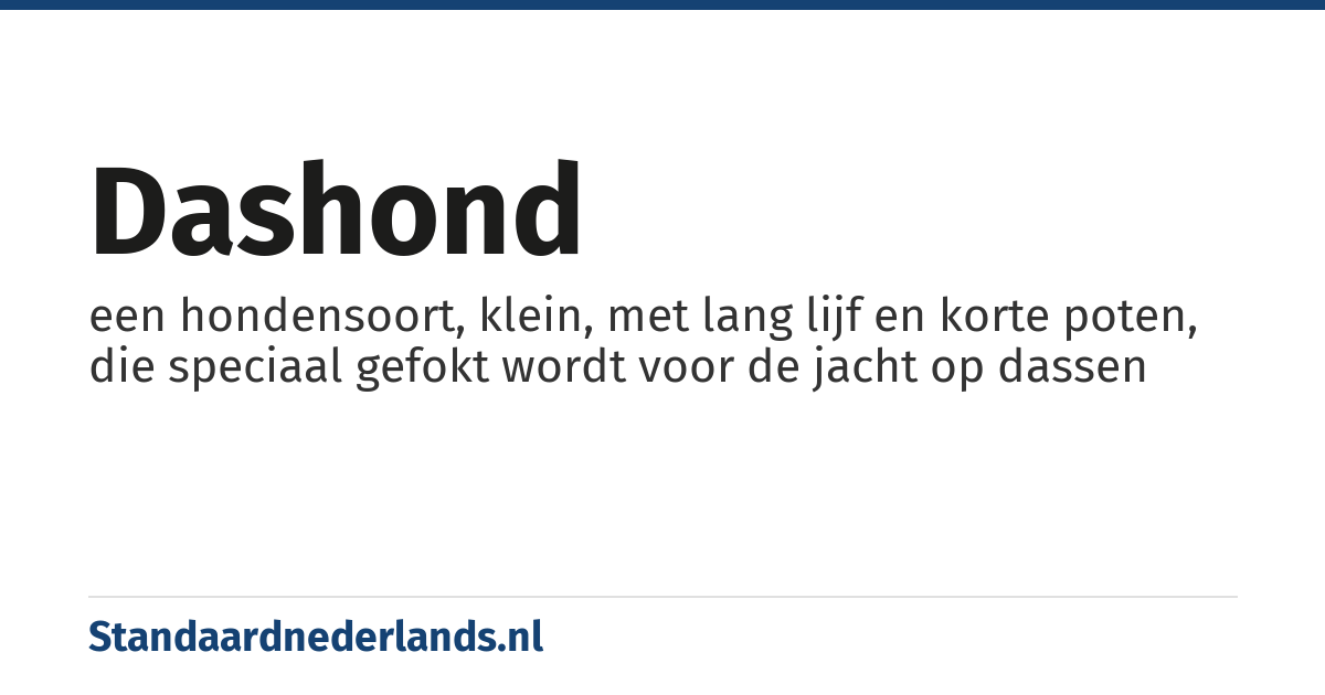dashond: een hondensoort, klein, met lang lijf en korte poten, die speciaal gefokt wordt voor de jacht op dassen