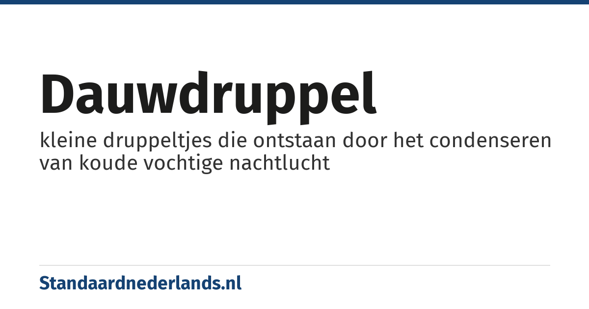 dauwdruppel: kleine druppeltjes die ontstaan door het condenseren van koude vochtige nachtlucht