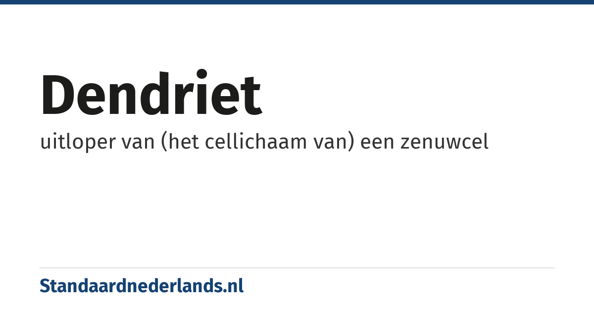 dendriet: uitloper van (het cellichaam van) een zenuwcel