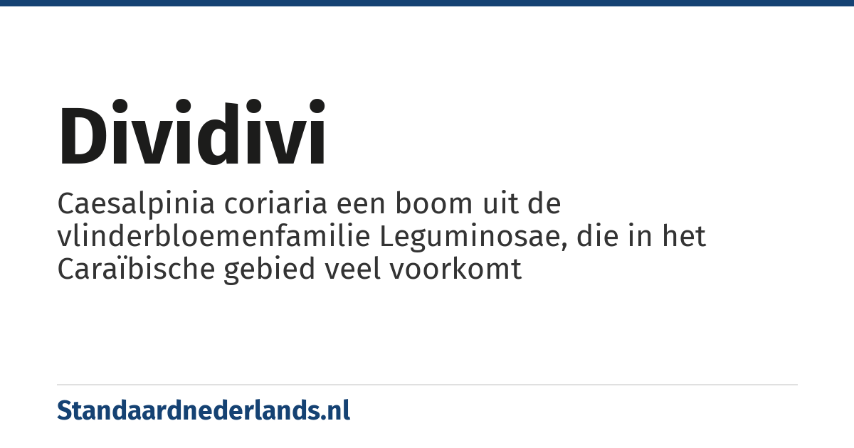 dividivi: Caesalpinia coriaria een boom uit de vlinderbloemenfamilie Leguminosae, die in het Caraïbische gebied veel voorkomt
