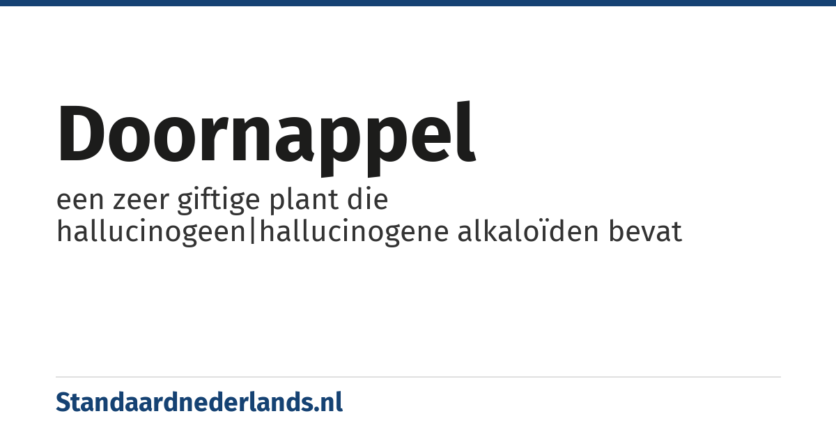 doornappel: een zeer giftige plant die hallucinogeen|hallucinogene alkaloïden bevat