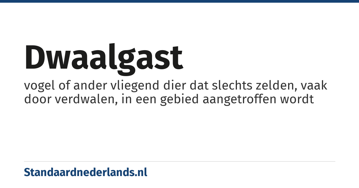dwaalgast: vogel of ander vliegend dier dat slechts zelden, vaak door verdwalen, in een gebied aangetroffen wordt