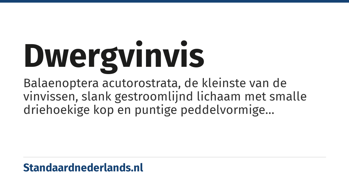 dwergvinvis: Balaenoptera acutorostrata, de kleinste van de vinvissen, slank gestroomlijnd lichaam met smalle driehoekige kop en puntige peddelvormige buikvinnen