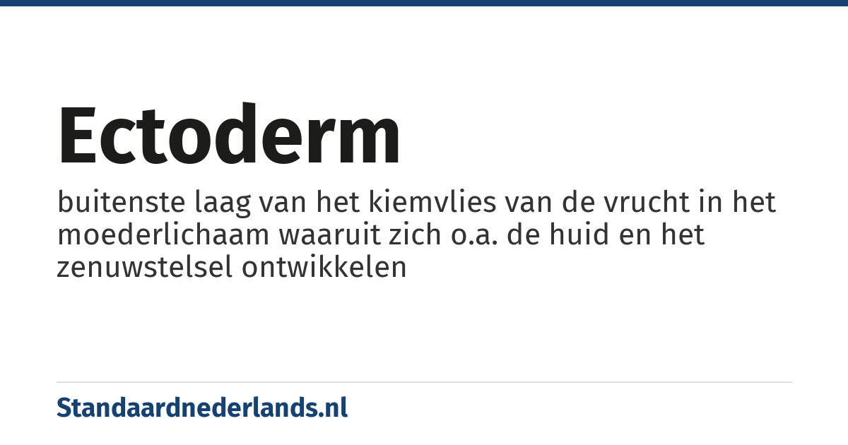 ectoderm: buitenste laag van het kiemvlies van de vrucht in het moederlichaam waaruit zich o.a. de huid en het zenuwstelsel ontwikkelen