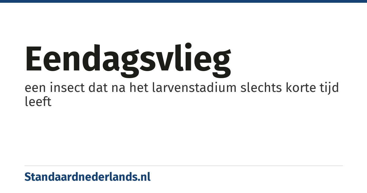 eendagsvlieg: een insect dat na het larvenstadium slechts korte tijd leeft