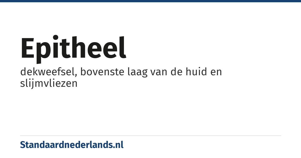 epitheel: dekweefsel, bovenste laag van de huid en slijmvliezen