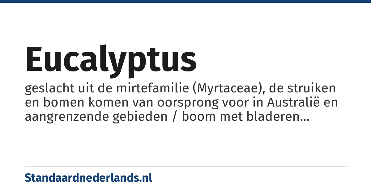 eucalyptus: geslacht uit de mirtefamilie (Myrtaceae), de struiken en bomen komen van oorsprong voor in Australië en aangrenzende gebieden / boom met bladeren waarin fris ruikende olie zit