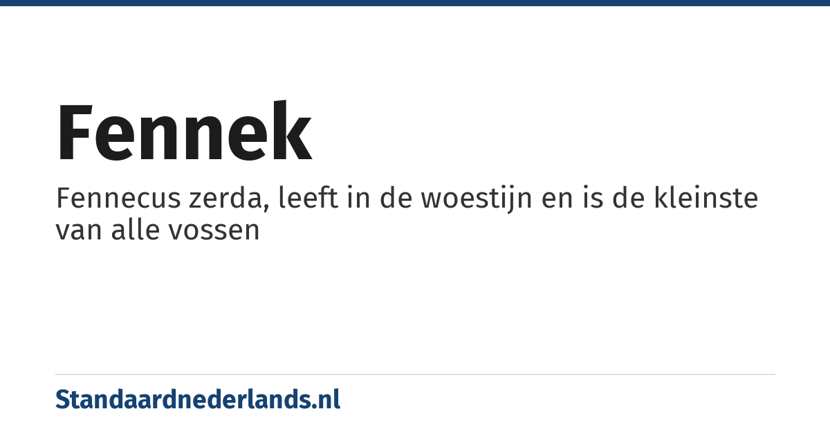 fennek: Fennecus zerda, leeft in de woestijn en is de kleinste van alle vossen