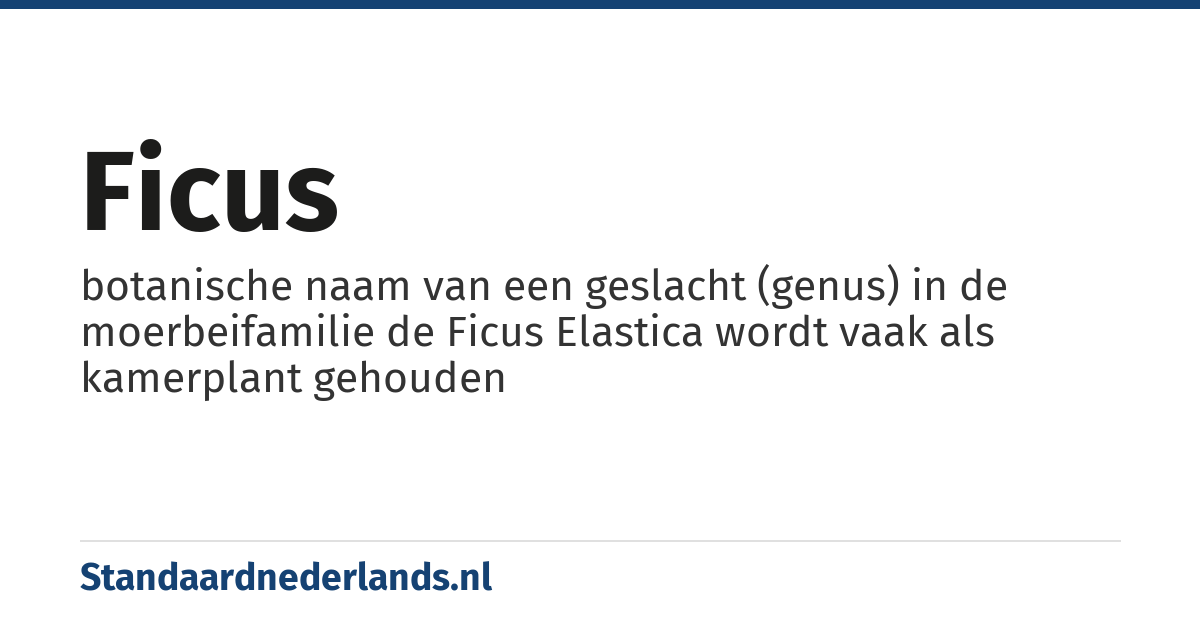 ficus: botanische naam van een geslacht (genus) in de moerbeifamilie de Ficus Elastica wordt vaak als kamerplant gehouden
