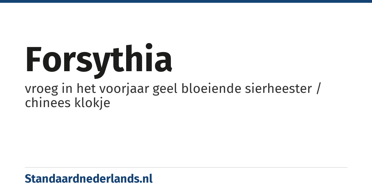 forsythia: vroeg in het voorjaar geel bloeiende sierheester / chinees klokje