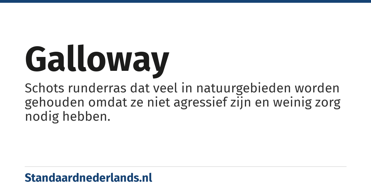 galloway: Schots runderras dat veel in natuurgebieden worden gehouden omdat ze niet agressief zijn en weinig zorg nodig hebben.